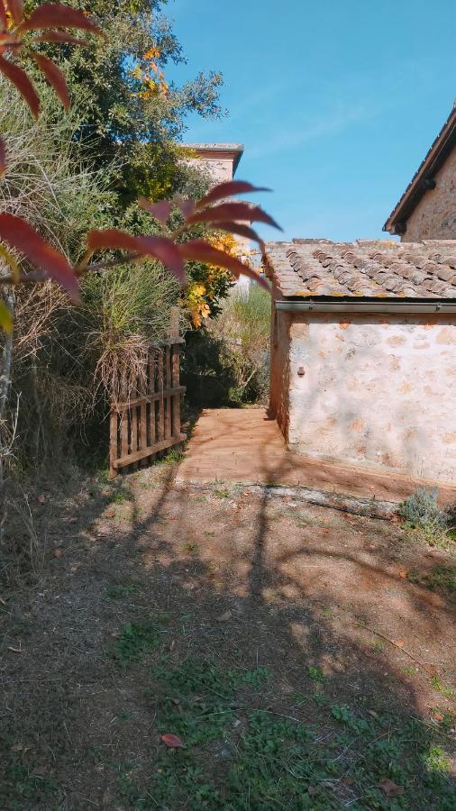 Cosy Country Room Garden سوفيتشيلي المظهر الخارجي الصورة